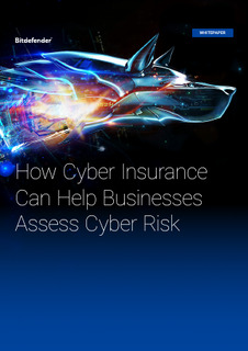 How Cyber Insurance Can Help Business Assess Cyber Risk